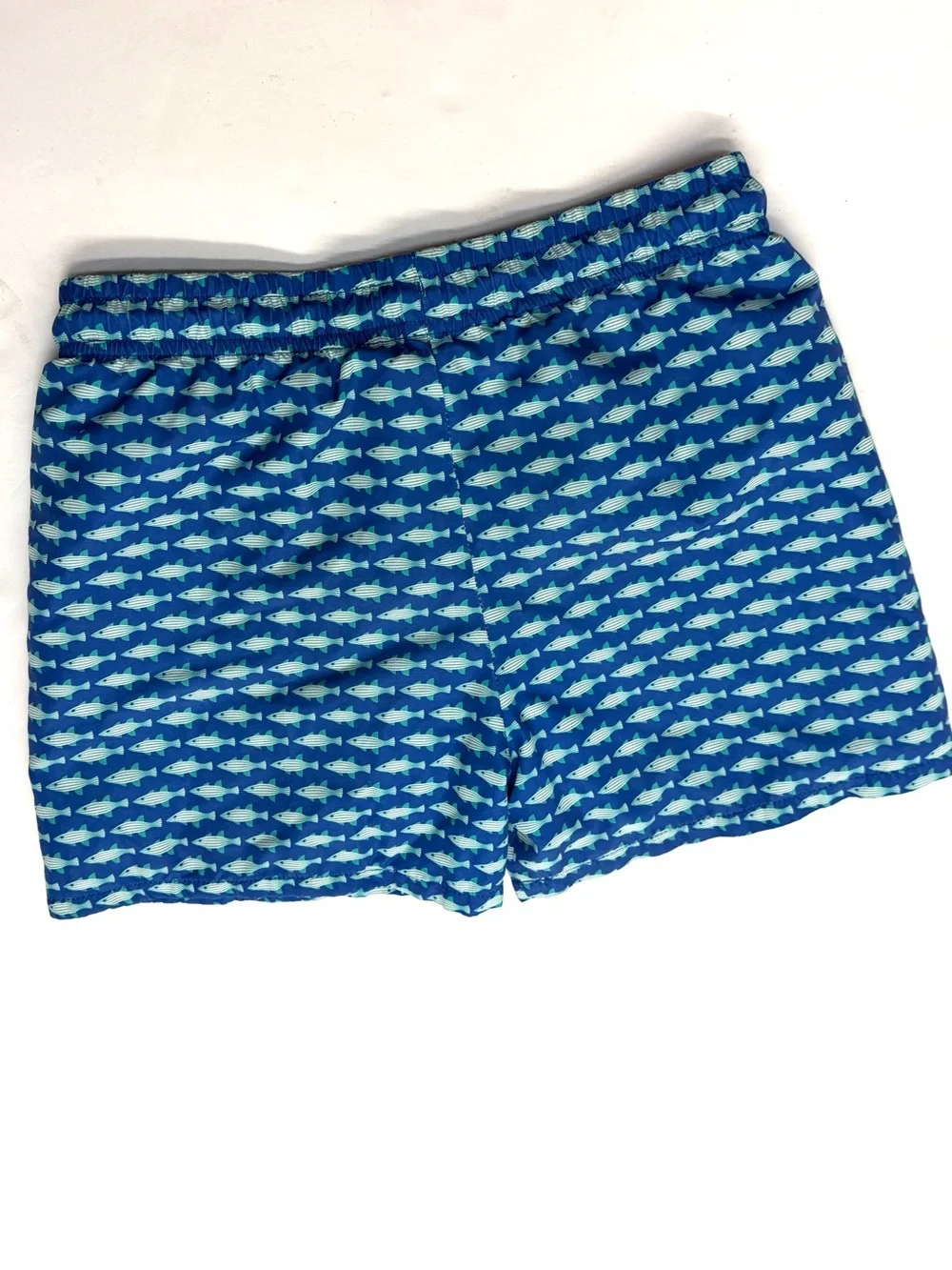 Saltwater Boys Company Blue Fish-Print Saint Simons Swim Trunks
